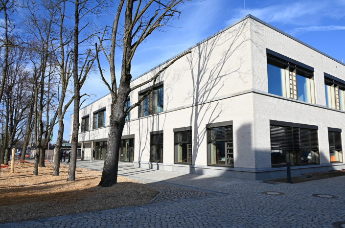 baumhain und schule